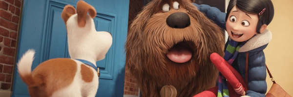 پی سی تمپلیت